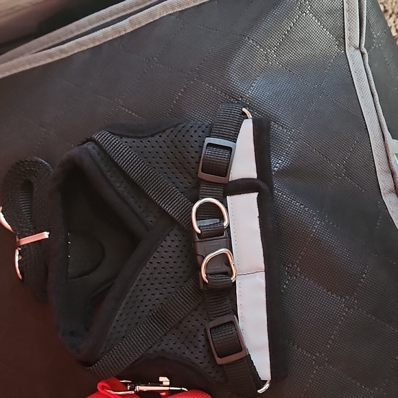 Pet harness with leash Red or Black All Sizes with Reflectors New - Picture 6 of 10